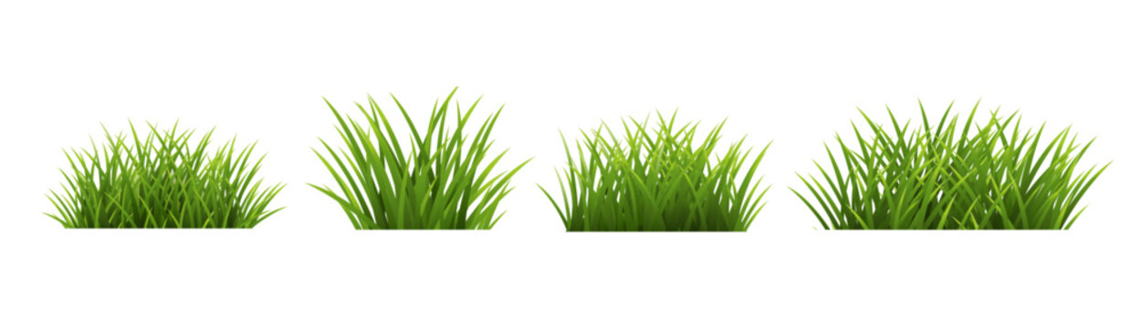 green grass