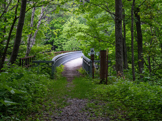糠平川橋梁（北海道河東郡上士幌町）