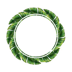 Round template for text with tropical palm leaves. Tropic leaf wreath. Circle frame with jungle rainforest exotic plants. Isolated on white realistic hand drawn illustration for label design.