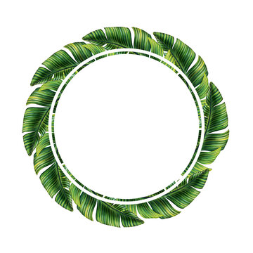 Round template for text with tropical palm leaves. Tropic leaf wreath. Circle frame with jungle rainforest exotic plants. Isolated on white realistic hand drawn illustration for label design.