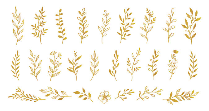 Gold branch leaf element set. Hand drawn sketch doodle golden leaves floral element for wedding background, elegant design. Vector illustration.