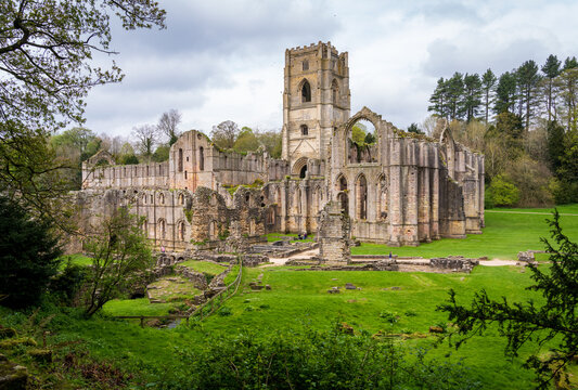 Detail of the ruins of Fountains Abbey in Yorkshire, United Kingdom in the spring as leaves start to appear - Powered by Adobe