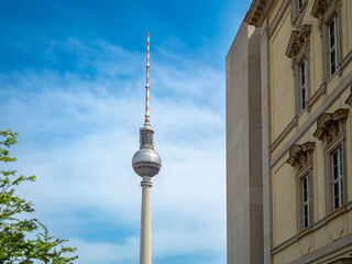 Naklejka premium TV tower Alexanderplatz, behind the branches of trees, Berlin, Germany. Television tower in the center of Berlin.