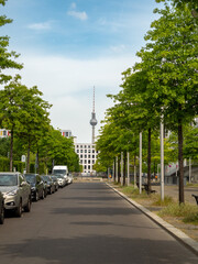 TV tower Alexanderplatz, behind the branches of trees, Berlin, Germany. Television tower in the...