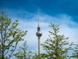 TV tower Alexanderplatz, behind the branches of trees, Berlin, Germany. Television tower in the...