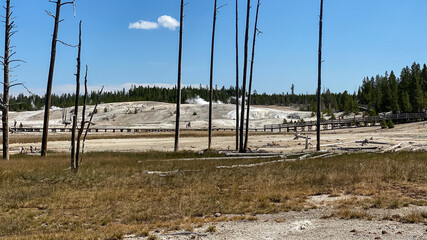 Norris Geyser Basin in Yellowstone National Park