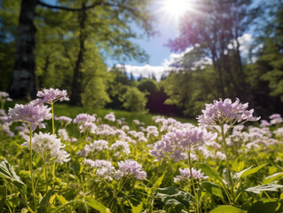 Experience the serene beauty of a Norwegian meadow. A low-angle shot captures white flowers under violet-pink twilight, blending wild charm with rustic harmony.
