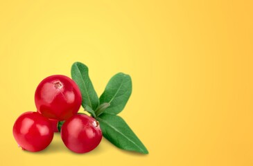 Tasty sweet raw ripe Cranberries berries