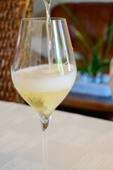 Tasting of grand cru sparkling white wine with bubbles champagne by old champagne house in grand cru wine producer small village Ambonnay, Champagne, France