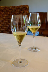 Tasting of grand cru sparkling white wine with bubbles champagne by old champagne house in grand cru wine producer small village Ambonnay, Champagne, France