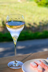 Tasting of premier cru sparkling white wine with bubbles champagne with view on green pinot noir, meunier vineyards of Hautvillers, France.