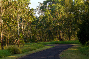 Walking Pathway at park