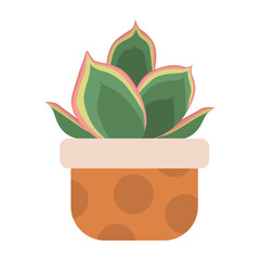 succulent house plants logo design inspiration
