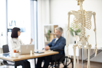 Focus on skeleton model on stand being placed in doctor's office while young physician providing check-up of patient. Orthopedist diagnosing medical condition of male wheelchair user in hospital.