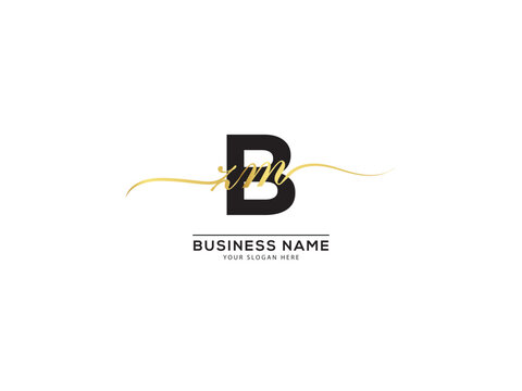 Luxury logo Bzm zbm signature letter design