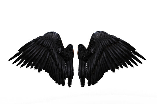 Black demon or angel wings. 3D render isolated on transparent background.