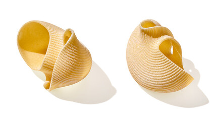 Pasta noodle isolated on white, close up