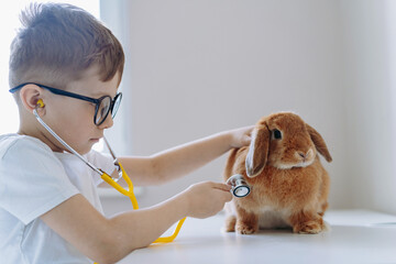 cute little boy playing vet stethoscoping a rabbit