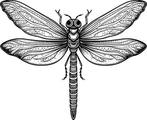 Illustration Of Dragonfly
