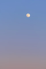 Full moon on the evening sky, closeup, can be used as natural background.