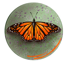 orange butterfly freehand drawing texture wild
