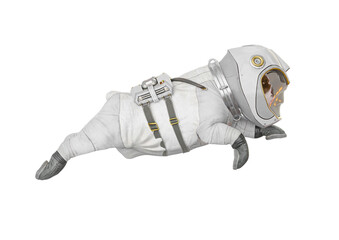 bulldog astronaut is jumping and flying