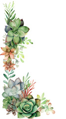 variety of succulent plants as a frame border, copyspace, generative ai