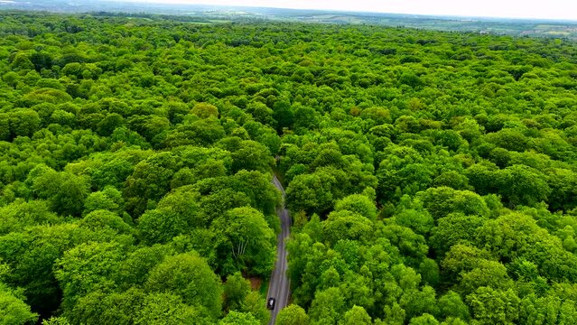 Aerial footage of Epping park in Essex, England, UK