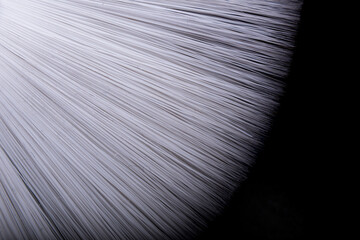 Detalle de cerda de pincel blanco