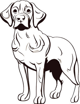 Dog Outline Coloring Book Vector File