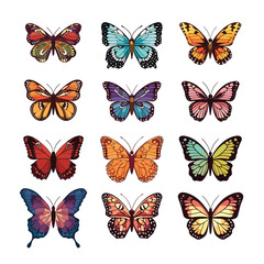 Naklejka na ściany i meble Butterflies set vector isolated on white