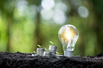 Idea of renewable energy and energy saving. Energy saving light bulb and tree growing on stacks of coins on nature background. Saving, accounting and financial concept. - obrazy, fototapety, plakaty