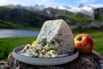Cabrales artisan blue cheese made by rural dairy farmers in Asturias, Spain from cow’s milk or blended with goat, sheep milk with Picos de Europa mountains and Covadonga lake on background