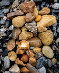 Wet rocks in Banff with beautiful vibrant colours and patterns