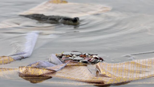 A pile of coins on the seabed by the coast with a stopped mudskipper in the background. A Relics of the Buddhist funeral ritual with fauna of sea, Bangkok, Thailand.
