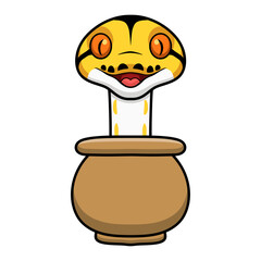 Cute albino tiger reticulated python cartoon inside the pot