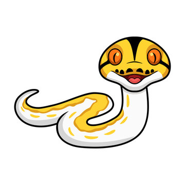 Cute albino tiger reticulated python cartoon