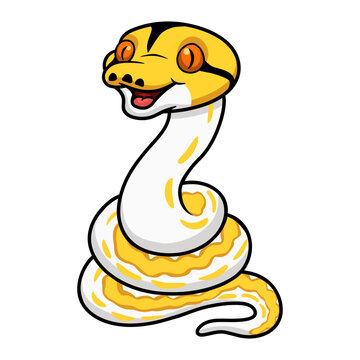 Cute albino tiger reticulated python cartoon