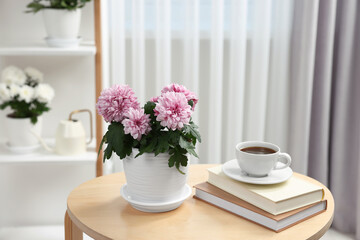 Beautiful chrysanthemum plant in flower pot, cup of coffee and books on wooden table in room