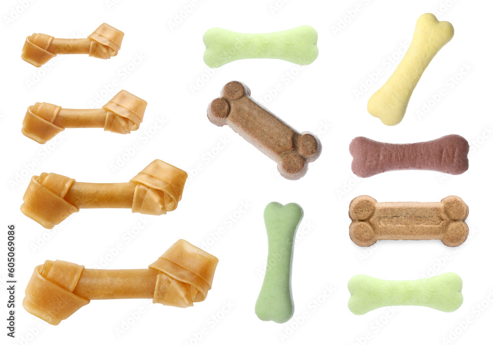 Wall mural Set with different bone dog treats on white background