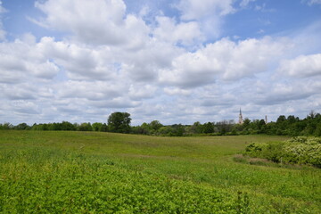 Fototapeta na wymiar meadow with church in the distance