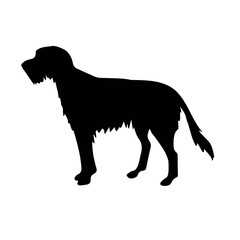 Vector hand drawn wolfhound dog silhouette isolated on white background