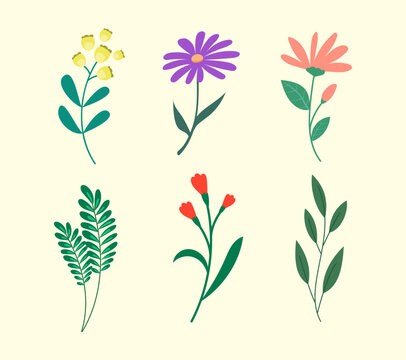 Vector Organic flat flower, leaf collection. Beautiful romantic flower collection.