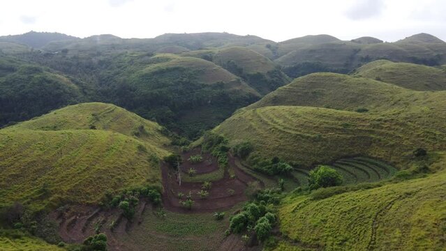 Aerial, fertile volcanic soil of Teletubbies Hills used for Farming, Nusa Penida.
Grassy tropical Cone shaped rolling Hills Locals use as Terrace Crops Plantation