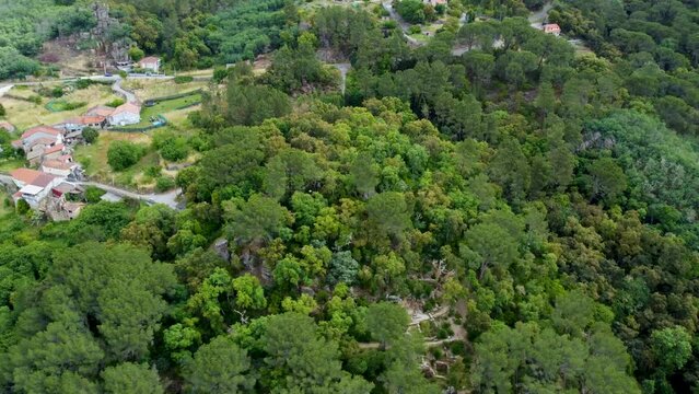 Countryside rural road leads up to historic ruins in forest, castro de santome