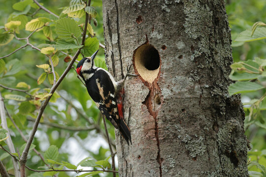 Akb Bilder Durchsuchen 3,607 Archivfotos, und Videos