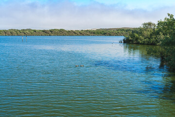 Calm peaceful lake. Oso Flaco Lake Natural area, California. Wetland natural landscape, marsh and lake with ducks