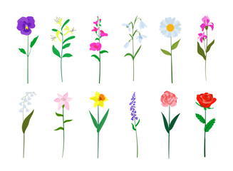 Realistic colorful flat design flowers set. Perfect for illustrations and education.