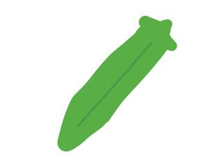 かわいい1本のオクラのフレーム／手描きイラスト素材