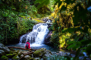 Girl in a pink jacket sits and admires unique, beautiful waterfall on Canungra Creek Circuit trail,...